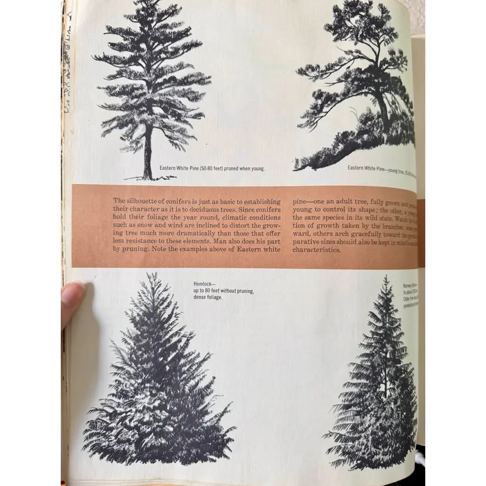 1966 The Art of Drawing Trees Grumbacher Library Vintage Art Book B-370